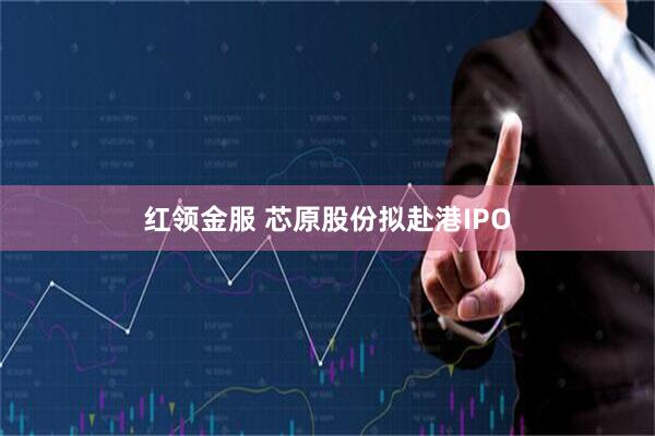 红领金服 芯原股份拟赴港IPO