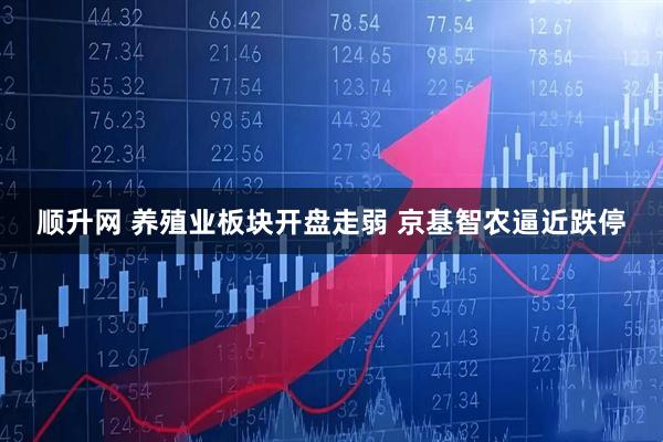 顺升网 养殖业板块开盘走弱 京基智农逼近跌停