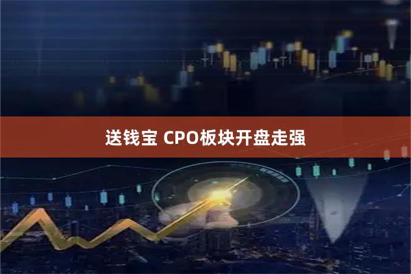 送钱宝 CPO板块开盘走强
