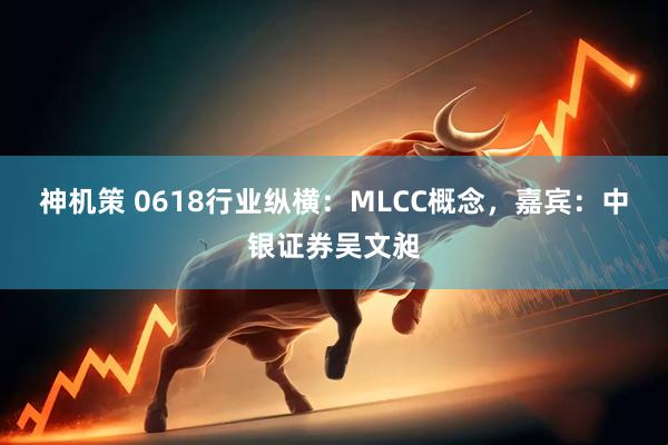 神机策 0618行业纵横：MLCC概念，嘉宾：中银证券吴文昶