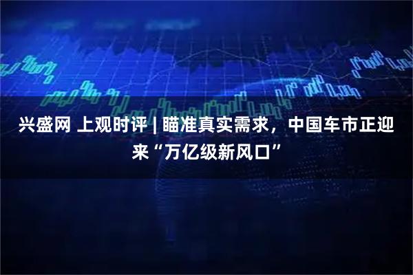 兴盛网 上观时评 | 瞄准真实需求，中国车市正迎来“万亿级新风口”