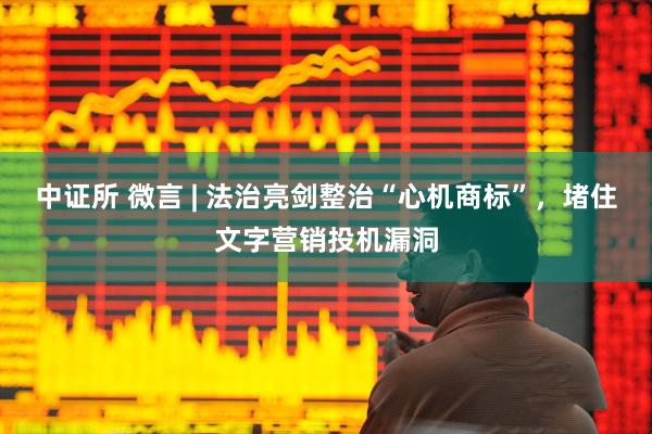 中证所 微言 | 法治亮剑整治“心机商标”，堵住文字营销投机漏洞