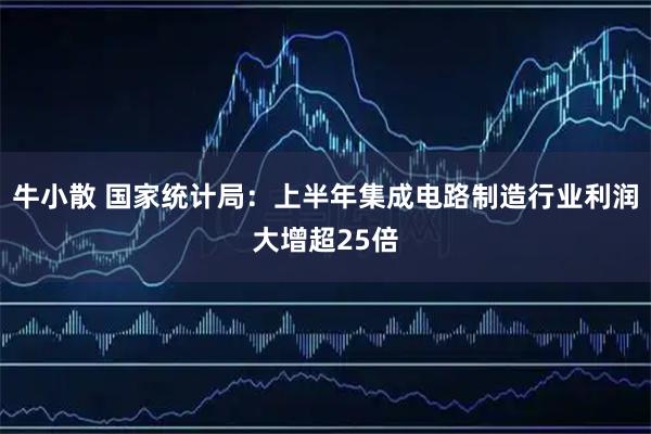 牛小散 国家统计局：上半年集成电路制造行业利润大增超25倍